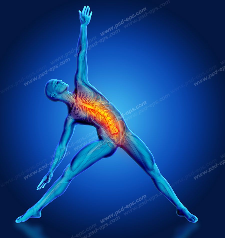 عکس با کیفیت نمادین و طراحی شده از انجام حرکات ورزشی و تاثیر آن بر روی ستون فقرات