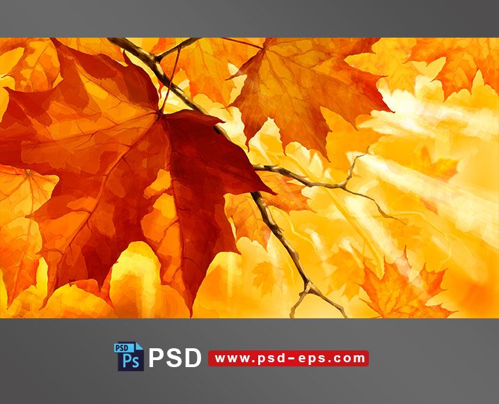 نقاشی طرح لایه باز برگ های زرد و نارنجی درختان در فصل پاییز