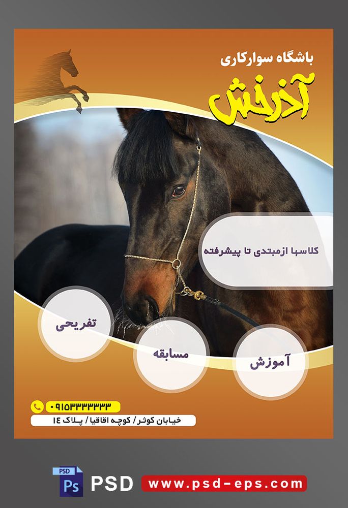 طرح آماده لایه باز تراکت یا پوستر باشگاه سوارکاری دارای تصویری با مضمون اسب به رنگ قهوه ای سوخته بسیار زیبا