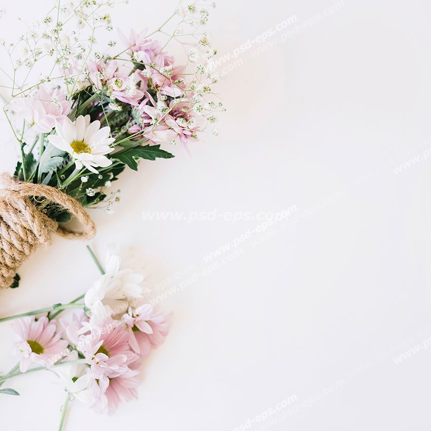 عکس با کیفیت یا پس زمینه سفید با دسته گل زیبا با گل های کوکب و بابونه