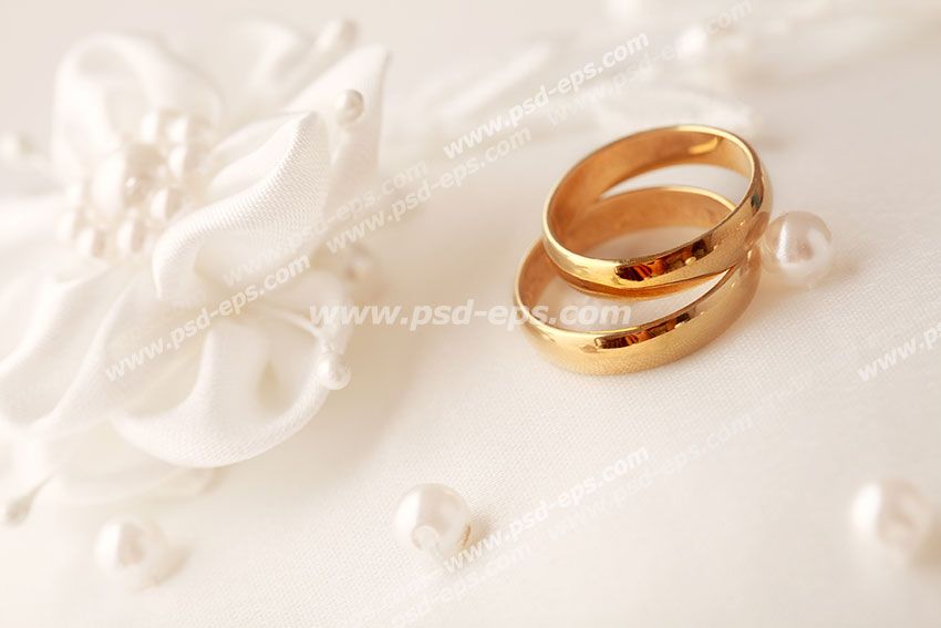 عکس با کیفیت تبلیغاتی دو حلقه طلا ساده روی کارت تزئین شده با گل ساتنی