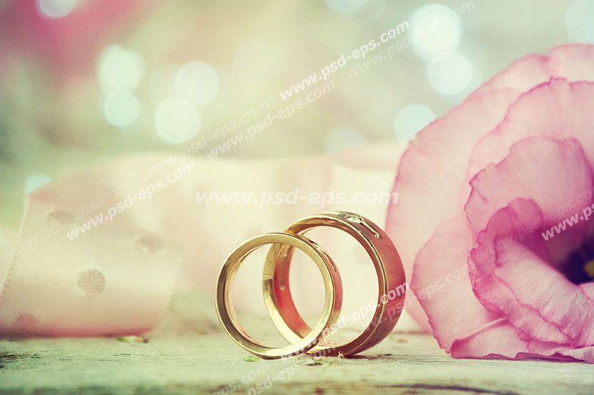 عکس با کیفیت تبلیغاتی دو حلقه طلایی ایستاده با پس زمینه گل