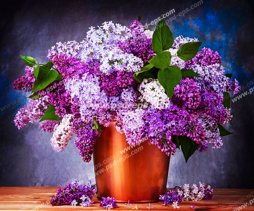 عکس با کیفیت تبلیغاتی گلدان مسی و گل های بنفش زیبا