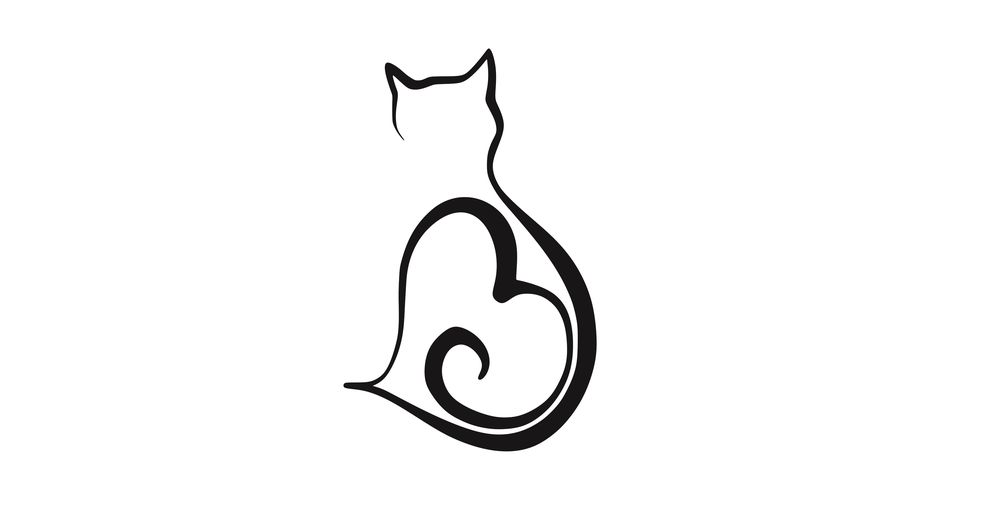 گربه و قلب