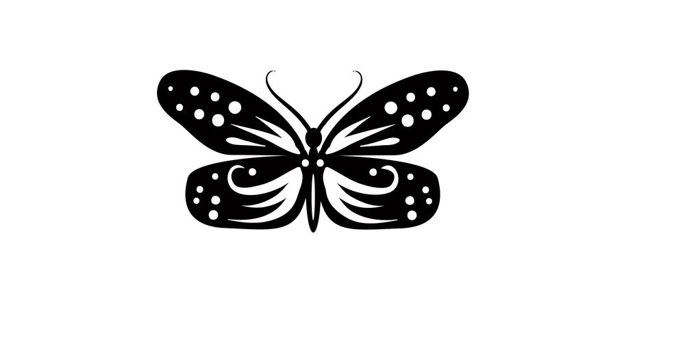 پروانه