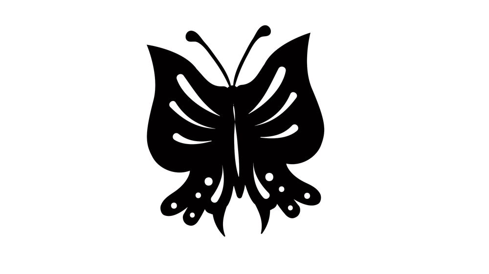 پروانه