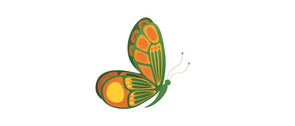 پروانه