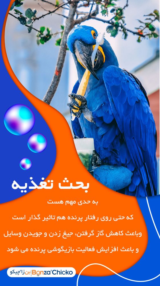 استوری